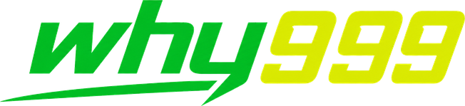 why 999 Logo